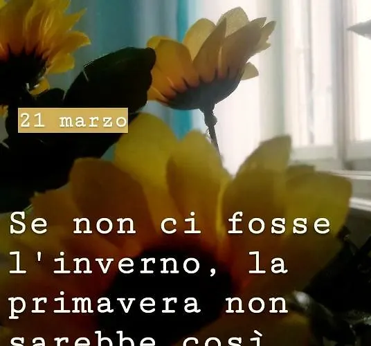 Zudecche 1 Bed & Breakfast *